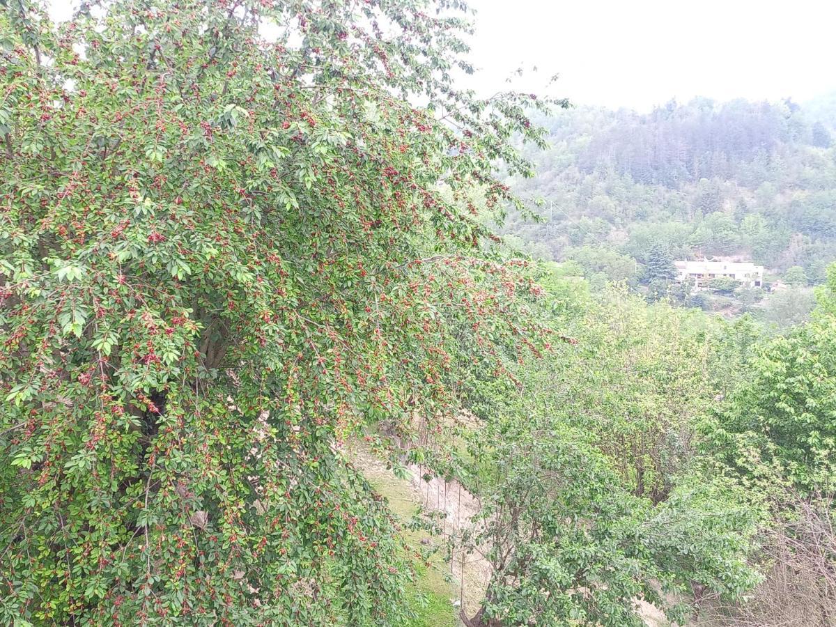 아키테르메 La Contea B&B 외부 사진